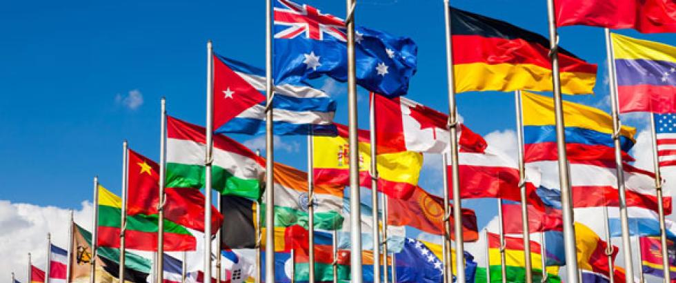 Image of various international flags blowing in the wind
