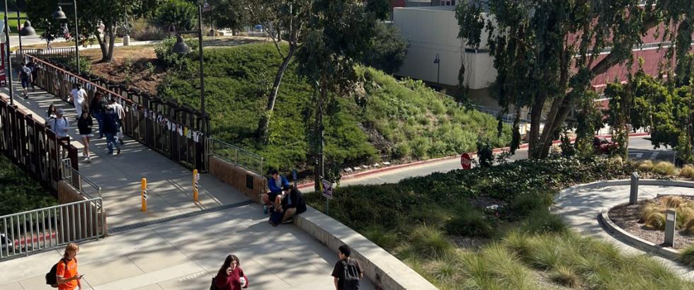 Students walking across bridge on a sunny day