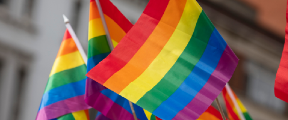 Pride flags