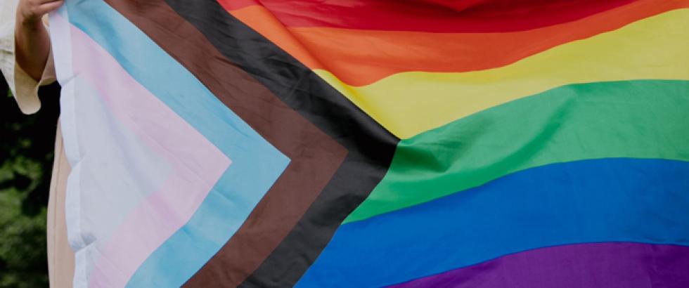 Image of the LGBTQIA+ Progress Pride Flag