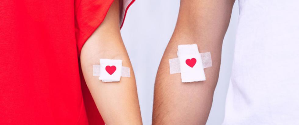 Image of two people showing their arms. Each arm has a bandage displaying a heart over their vein.