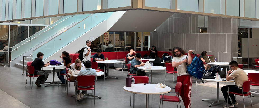 students in the library