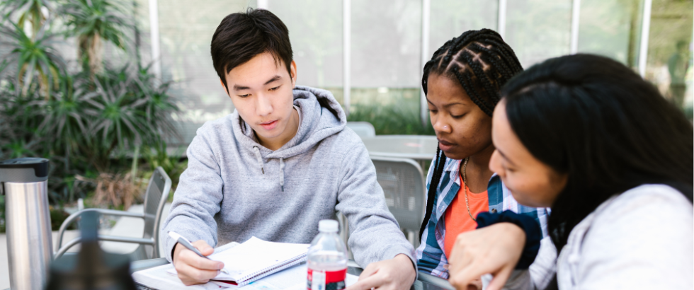 students studying together