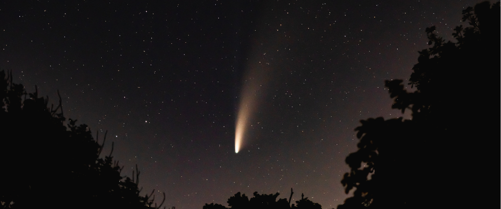 the comet Neowise as seen from a back garden in July 2020
