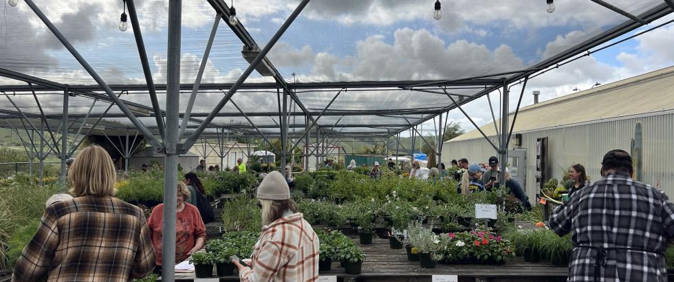 People browse tables filled with potted plants under a shaded outdoor structure at a spring plant sale. Several attendees wear plaid shirts and jackets, and the background shows a partly cloudy blue sky above green hills and a large greenhouse building.