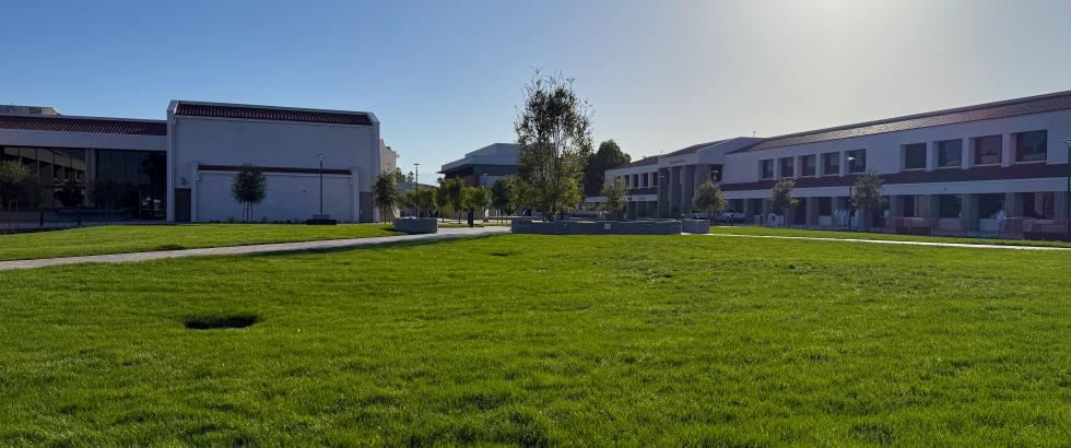 A wide view of an open campus quad with a large grassy lawn, paved walkways, scattered trees, and modern academic buildings surrounding the space, shown under a bright sky with the sun visible overhead.