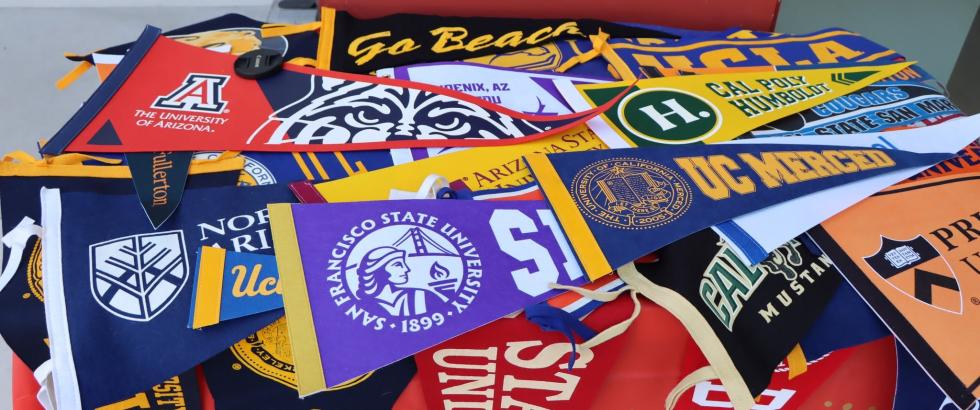 A table displaying a variety of college and university pennants.