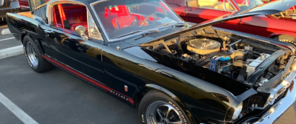 Black classic Ford Mustang with red interior, chrome wheels, and its hood raised to display the engine at an outdoor car show. Colorful vintage cars are parked nearby.