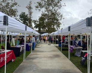 wide angle of all of the university booths at the transfer university fair on the Quad