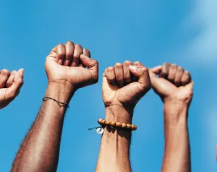 photo of hands in the sky