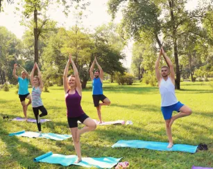 group of young people practicing yoga on grass