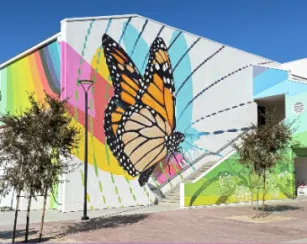 A large outdoor mural on a campus building shows several monarch butterflies over colorful rainbow shapes and abstract patterns. The mural wraps around a white building with an exterior staircase, trees, and a brick walkway in front under a clear blue sky.