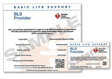 BLS CPR Card Sample