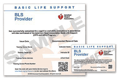 BLS CPR Card Sample